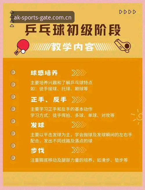 资深用户亲测：AK体育电脑版教程，从入门到精通的实战经验分享
